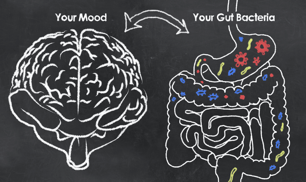 gut health and mood