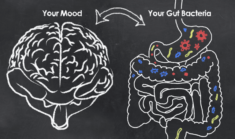 gut health and mood