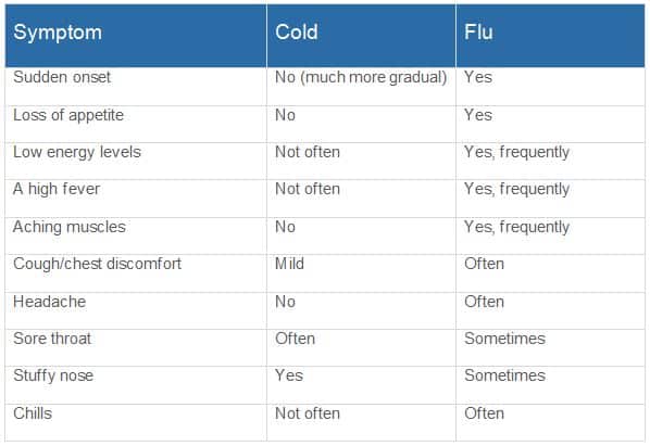 cold and flu symptoms