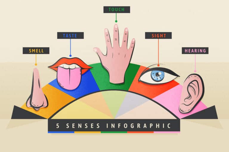 sensory intelligence analysis